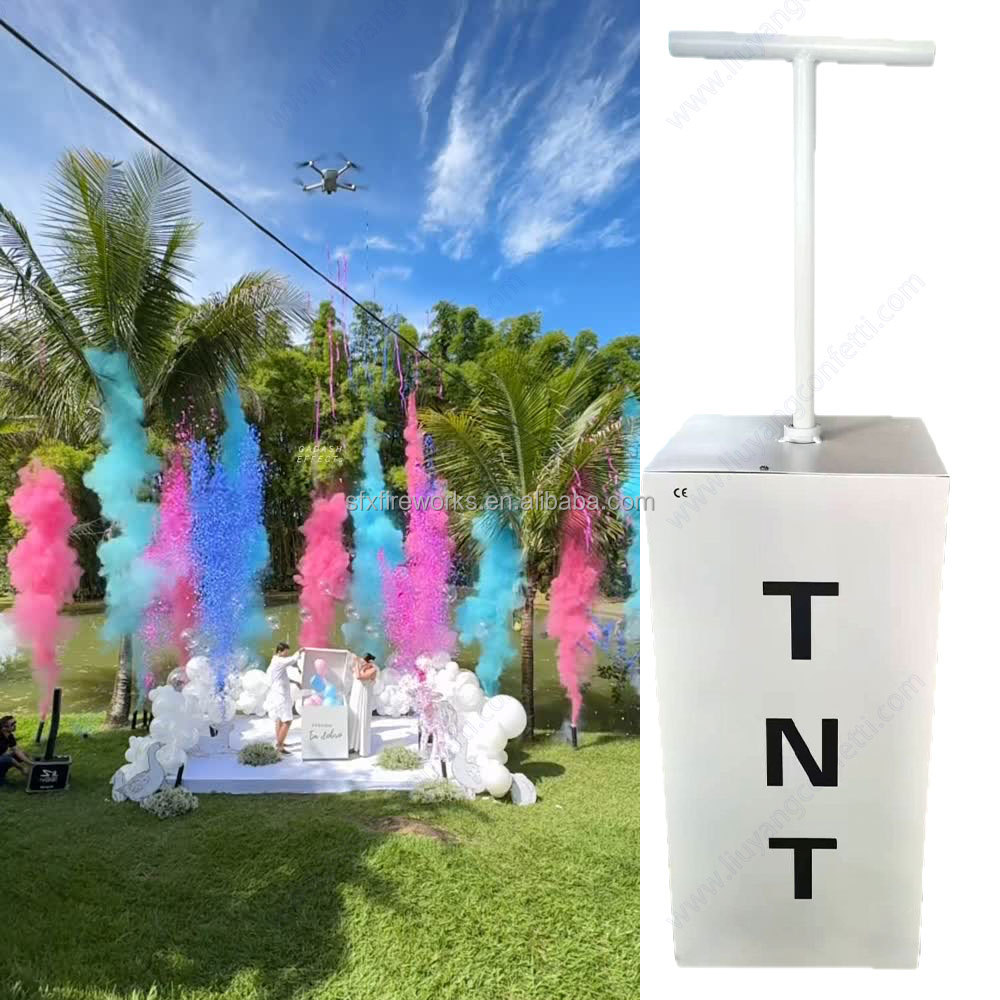 Electric Gender Reveal Smoke B - Confetti Cannon Tube ulasan dan harga